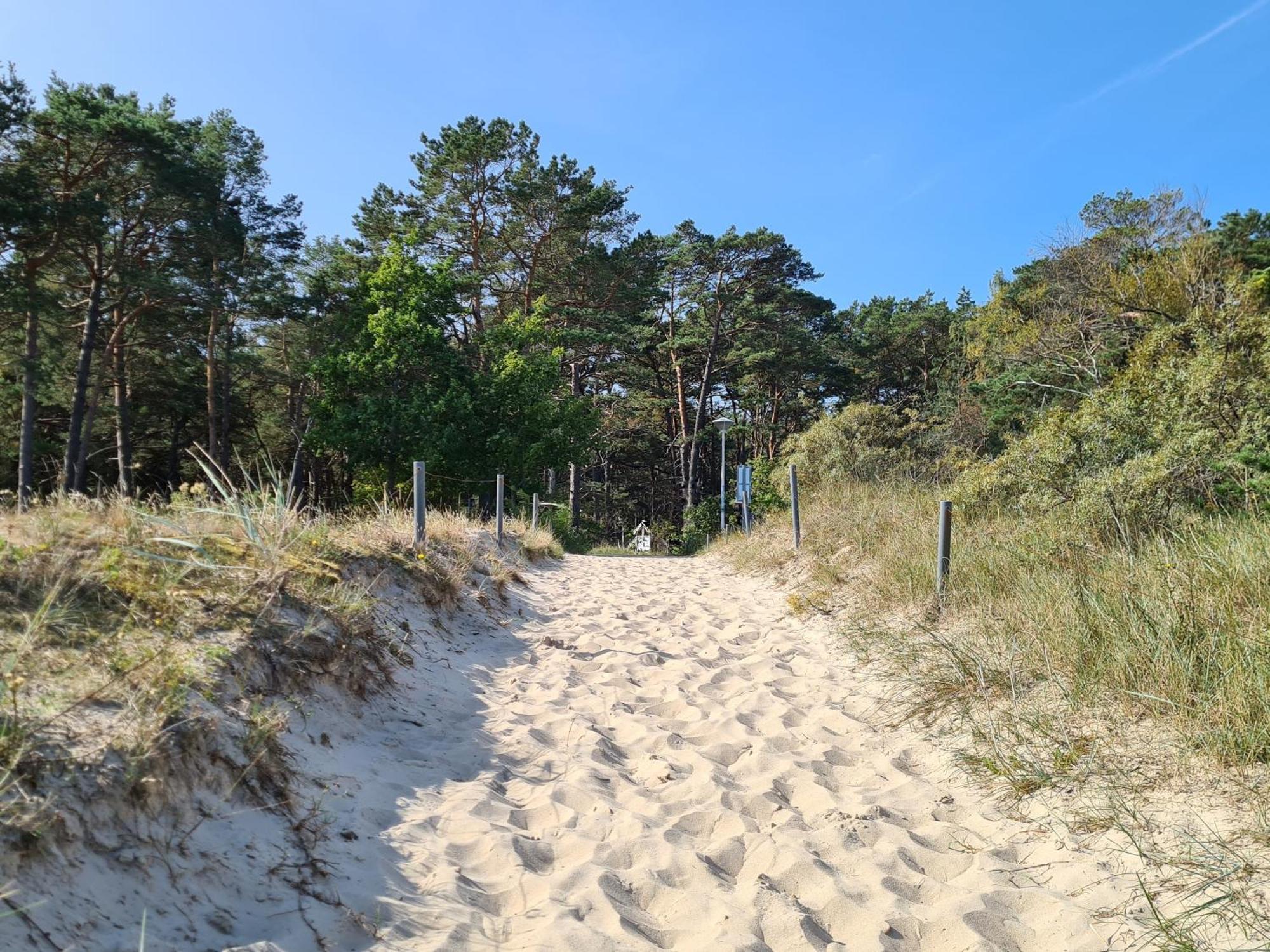 Pink Und Meer - Meerblick, Sauna, Kamin & Whirlpool Baabe Dış mekan fotoğraf